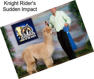 Knight Rider\'s Sudden Impact