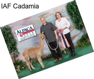 IAF Cadamia