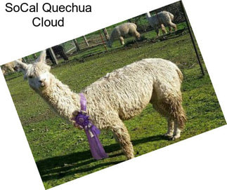 SoCal Quechua Cloud