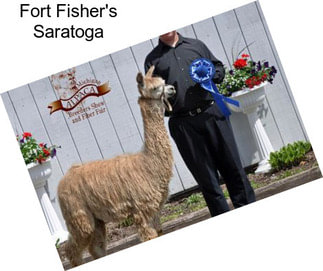 Fort Fisher\'s Saratoga