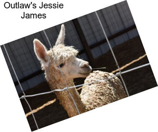 Outlaw\'s Jessie James