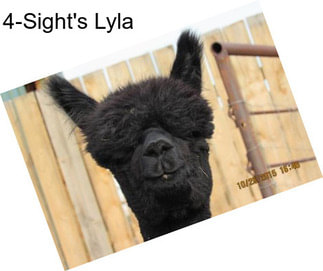 4-Sight\'s Lyla