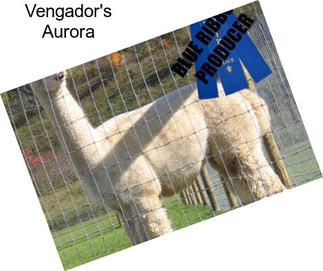 Vengador\'s Aurora