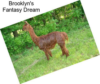 Brooklyn\'s Fantasy Dream