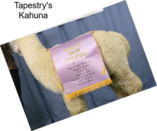 Tapestry\'s Kahuna