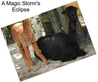 A Magic Storm\'s Eclipse