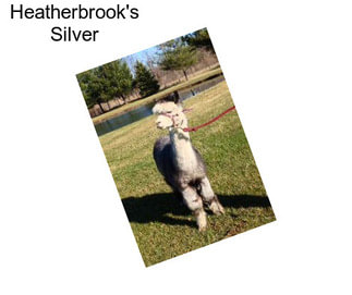 Heatherbrook\'s Silver