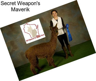 Secret Weapon\'s Maverik