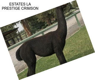 ESTATES LA PRESTIGE CRIMSON