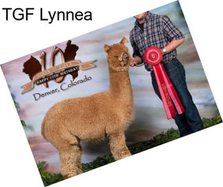 TGF Lynnea