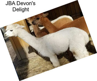 JBA Devon\'s Delight