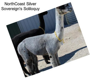 NorthCoast Silver Sovereign\'s Soliloquy