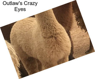 Outlaw\'s Crazy Eyes