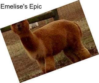 Emelise\'s Epic