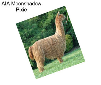 AIA Moonshadow Pixie