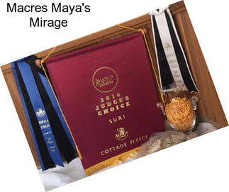 Macres Maya\'s Mirage