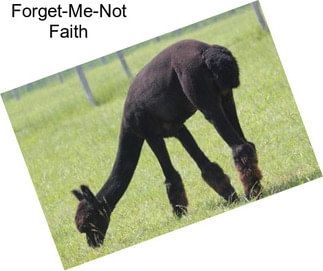 Forget-Me-Not Faith