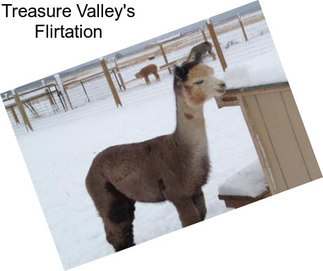 Treasure Valley\'s Flirtation