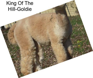 King Of The Hill-Goldie