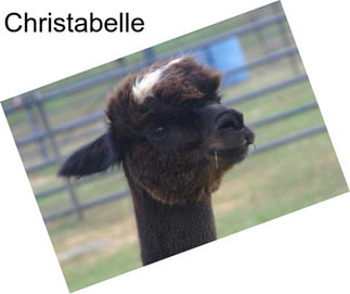Christabelle