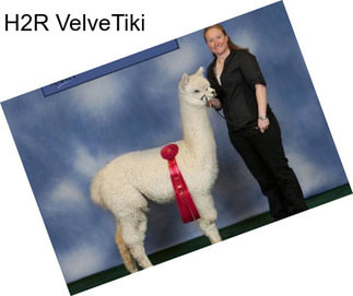 H2R VelveTiki