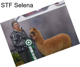 STF Selena