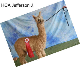 HCA Jefferson J