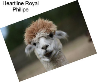 Heartline Royal Philipe