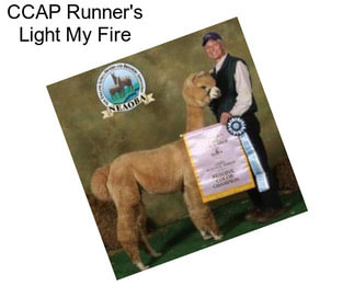 CCAP Runner\'s Light My Fire