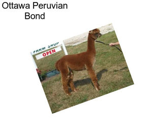 Ottawa Peruvian Bond
