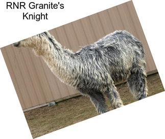 RNR Granite\'s Knight