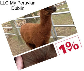 LLC My Peruvian Dublin