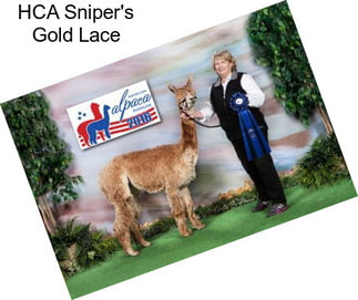 HCA Sniper\'s Gold Lace