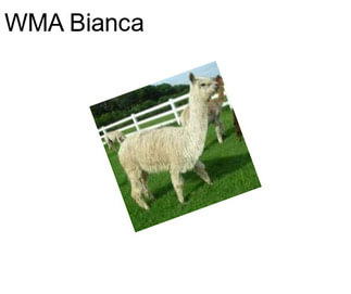 WMA Bianca