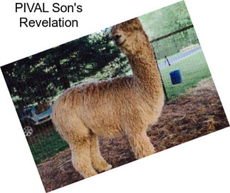 PIVAL Son\'s Revelation