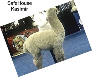 SafeHouse Kasimir