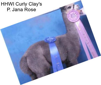 HHWI Curly Clay\'s P. Jana Rose