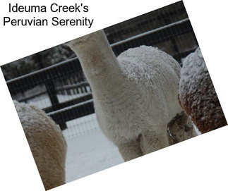 Ideuma Creek\'s Peruvian Serenity