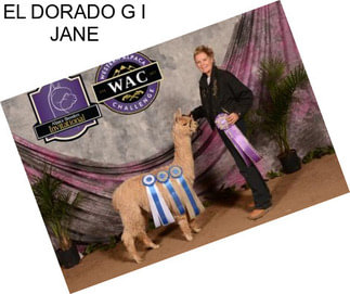 EL DORADO G I JANE