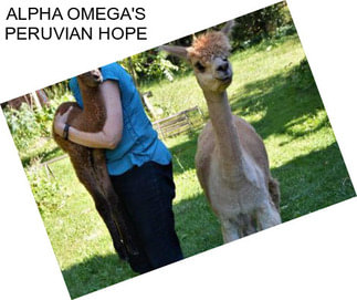 ALPHA OMEGA\'S PERUVIAN HOPE