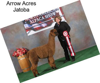 Arrow Acres Jatoba