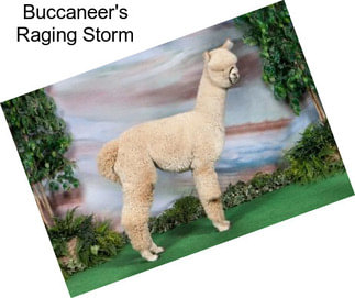 Buccaneer\'s Raging Storm