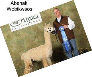 Abenaki Wobikwsos