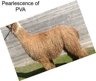 Pearlescence of PVA