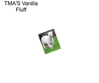 TMA\'S Vanilla Fluff