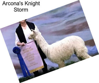 Arcona\'s Knight Storm