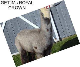 GET\'IMs ROYAL CROWN