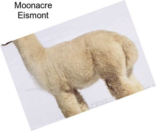 Moonacre Eismont