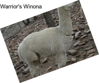Warrior\'s Winona