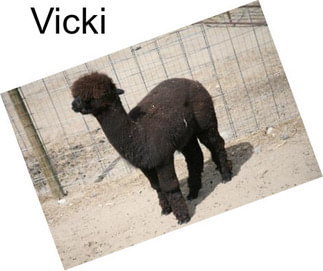 Vicki